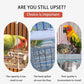 🐦 50% KORTING! Automatisch No-Spill Transparant Vogelvoederhuisje – Zie Vogels van Dichtbij | Zonder Morsen 🌿✨