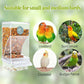 🐦 50% KORTING! Automatisch No-Spill Transparant Vogelvoederhuisje – Zie Vogels van Dichtbij | Zonder Morsen 🌿✨