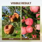 🌺 Nieuw 2026 – Bodemverbetering Oplosmiddel | Snellere Groei & Gezondere Planten | Koop 1 Krijg 1 Gratis