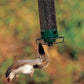 Proof Bird Feeder – Beschermt Voedsel Tegen Eekhoorns & Grotere Vogels