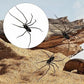 🕷️ Spinnenmagneet voor de Koelkast | Realistisch, Sterke Magneet & Perfect voor Grappen – Nu 50% Korting 🎁