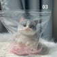 🎁😻Schattig en zacht katvormig speeltje💕(verlicht stress)