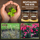🌺 Nieuw 2026 – Bodemverbetering Oplosmiddel | Snellere Groei & Gezondere Planten | Koop 1 Krijg 1 Gratis