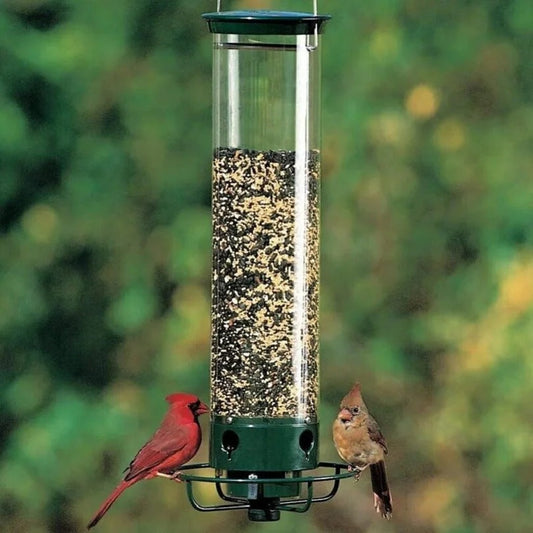 Proof Bird Feeder – Beschermt Voedsel Tegen Eekhoorns & Grotere Vogels