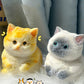 🎁😻Schattig en zacht katvormig speeltje💕(verlicht stress)
