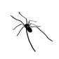🕷️ Spinnenmagneet voor de Koelkast | Realistisch, Sterke Magneet & Perfect voor Grappen – Nu 50% Korting 🎁