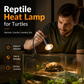 🔥 50% KORTING! 🦎 Verstelbare Reptiel Lampenhouder – Voor Warmte- & UV-Lampen | Stevig & Veilig ☀️