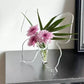 🦋 50% KORTING – Transparante Vlinder Vaas – Lichtgewicht & Elegant – Bijzondere Bloemendecoratie voor Thuis
