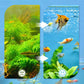Professioneel 8D Aquarium Filterschuim – Hoge Dichtheid voor Kristalhelder Water 🐠