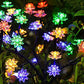 🌟Buiten Waterdichte Roos Veelkleurige LED Zonne Tuinlichten💡🌹