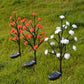 🌟Buiten Waterdichte Roos Veelkleurige LED Zonne Tuinlichten💡🌹