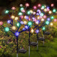 🌟Buiten Waterdichte Roos Veelkleurige LED Zonne Tuinlichten💡🌹