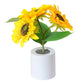 Mini LED Nachtlampje met Zonnebloem-effect – Sfeervol & Energiezuinig💕Speciale Moederdag voorverkoop – Nu 68% korting!