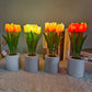 Mini LED Nachtlampje met Zonnebloem-effect – Sfeervol & Energiezuinig💕Speciale Moederdag voorverkoop – Nu 68% korting!
