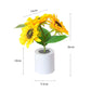 Mini LED Nachtlampje met Zonnebloem-effect – Sfeervol & Energiezuinig💕Speciale Moederdag voorverkoop – Nu 68% korting!