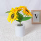 Mini LED Nachtlampje met Zonnebloem-effect – Sfeervol & Energiezuinig💕Speciale Moederdag voorverkoop – Nu 68% korting!