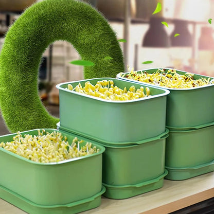 🔥Stapelbare taugé kweekbak – Meerlaags ontwerp, perfect voor thuisgebruik, gezond en groen leven!