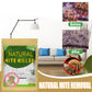 🔥 50% KORTING + KOOP 2 KRIJG 1 GRATIS – Natuurlijke Mijtverjager Voor Kussen, Kast En Bank