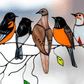 De mooiste vogelglas-in-lood raamhangers als cadeau