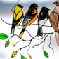 De mooiste vogelglas-in-lood raamhangers als cadeau