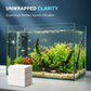 🌊 Kristalhelder Aquarium Zonder Gedoe – Krachtige Reiniging in Minuten | Nu Tijdelijk 50% Korting!