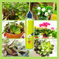 🌿 Universele Plantenvoeding – Voor Binnen & Buiten | Gezonde Groei in Één Fles