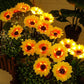 🌻60% KORTING! ☀️ Waterdichte zonnebloemlampjes op zonne-energie – Realistische bloemblaadjes, IP65 weerbestendig & 8-12 uur automatisch gloeiend ☀️🌻
