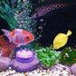 🌊 68% KORTING – Waterdichte RGB Zwembadverlichting met Afstandsbediening | 16 Kleuren & Dynamische Modi voor Sfeervolle Avonden ✨