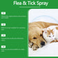 🍃Natuurlijke Vlooi- en Tekspray voor Honden en Katten🐾 Houd uw Geliefde Huisdier Vrij van Ongedierte