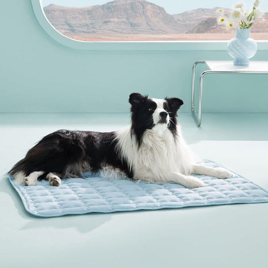 🐶❄️ 60% KORTING – Koelende Comfortmat voor Huisdieren | Direct Verkoelend, Zacht & Perfect voor Warme Dagen 🐾
