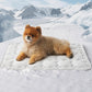 🐶❄️ 60% KORTING – Koelende Comfortmat voor Huisdieren | Direct Verkoelend, Zacht & Perfect voor Warme Dagen 🐾