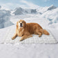🐶❄️ 60% KORTING – Koelende Comfortmat voor Huisdieren | Direct Verkoelend, Zacht & Perfect voor Warme Dagen 🐾