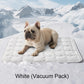 🐶❄️ 60% KORTING – Koelende Comfortmat voor Huisdieren | Direct Verkoelend, Zacht & Perfect voor Warme Dagen 🐾