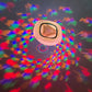 🔮 Koop 3 = Krijg 1 Gratis – Drijvende LED Visprojector | Zwembadverlichting met 8 Kleuren & 4 Modi – Creëer Direct Sfeervolle Avonden ✨🐠