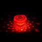 🔮 Koop 3 = Krijg 1 Gratis – Drijvende LED Visprojector | Zwembadverlichting met 8 Kleuren & 4 Modi – Creëer Direct Sfeervolle Avonden ✨🐠