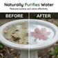 🐦 Koop 2 = Krijg 1 Gratis – Universele Vogelbad Watercirculator | Houdt Water Fris en Trekt Meer Vogels naar je Tuin 💧✨