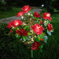 Simulatie Azalea Bloem Grondsteek Zonneverlichting – Natuurlijke Schoonheid, Geen Water Nodig--Nieuwe collectie – Tijdelijke aanbieding: 58% korting!