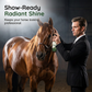 🐎 Paarden Vacht Verzorgingsspray – Gladde & Gezonde Manen ✨