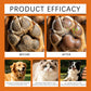🐶 50% KORTING – Pootverzorging Balsem – Zachte & Beschermde Pootjes 🐾✨