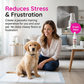 🐶🐱 Zindelijkheidsspray voor Honden & Katten – Ondersteunt de Zindelijkheidstraining ✨