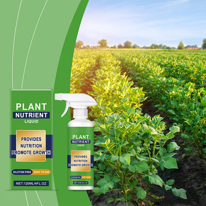 🔥【50% KORTING】Vloeibare Plantenvoeding Spray – Gebruiksklare Bladvoeding | Voor Gezonde Groei & Groene Planten | Binnen & Buiten 🌿