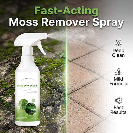 🌿 Spray Tegen Mos & Algen – Voor Terras, Tegels, Oprit & Tuin | Eenvoudige Reiniging voor Buitenruimtes ✨