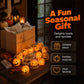 🎃 Vroege Halloween Aanbieding – 50% KORTING | Pompoen Lichtslinger voor Gezellige Feestdecoratie & Warme Sfeer ✨