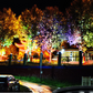 🌳 Sfeervolle Ringverlichting voor Bomen – IP65 Waterdicht & Geschikt voor Buiten | Creëer 's Avonds een Warme Tuinsfeer 💡