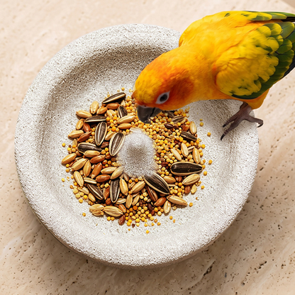 🐦 KOOP 2, KRIJG 1 GRATIS! 2-in-1 Vogelvoerbak & Snavelslijper van Vulkanisch Gesteente – Praktisch & Duurzaam voor in de Vogelkooi 🌋