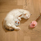 ⏰Tijdelijk 50% Korting 🐭Slim Elektrisch Muis Kattenspeeltje｜Automatisch Bewegend Interactief Speelgoed Voor Binnenkatten 🐱