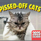 🐱 Grappige Kattenkalender 2027 – 12 Maanden Vol Ondeugende Kattenhumor, Perfect voor Kattenliefhebbers
