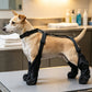 Waterdichte Hondenschoenen – Voor Bescherming tegen Regen, Modder & Vocht, Valbestendig & Verstelbaar
