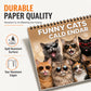 🎁🐱 2+1 GRATIS – Grappige Katten Wandkalender 2027 | Elke Maand Nieuwe Kattenpret | Leuk Nieuwjaarscadeau
