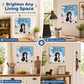 50% KORTING – Wandkalender met Grappige Teckels – 12 Maanden Vol Ondeugende Honden & Humor